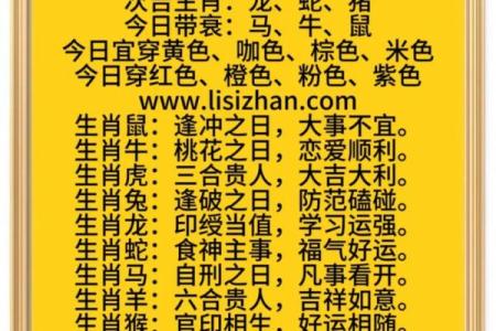 解密十二生肖对人生运势的深刻影响