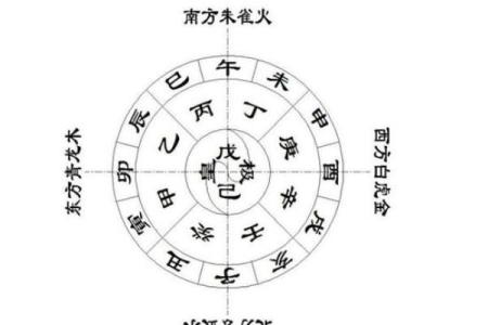 天干己卯的命理解析与运势影响