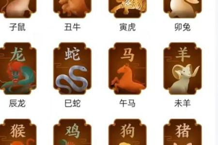 你知道相指象征哪个生肖吗？一探究竟
