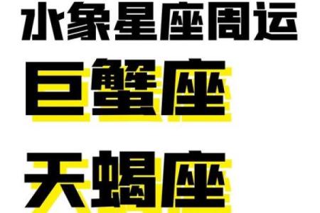 巨蟹座女生今日运势解析：感情与事业的平衡挑战