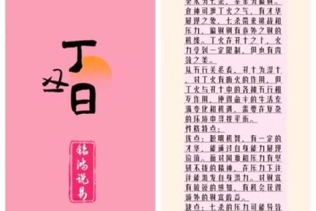 巳字在天干中的象征意义与应用解析