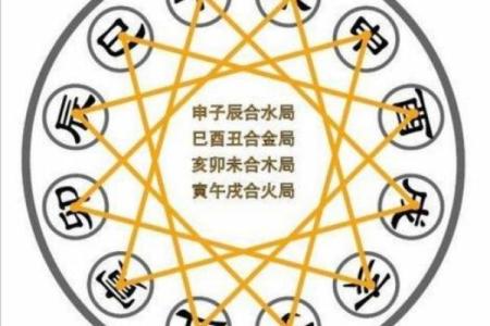 木猪命与其他命理的相互关系分析