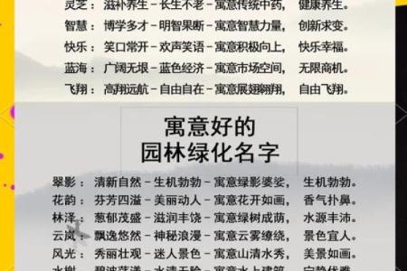 公司起名的创意指南：如何选择一个既独特又有意义的名字