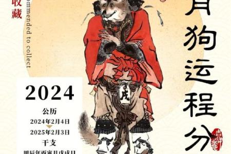 狗年运势吉凶分析：你将如何翻盘