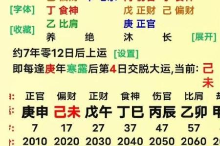 探讨干地支：庚子年与生肖运程的关系