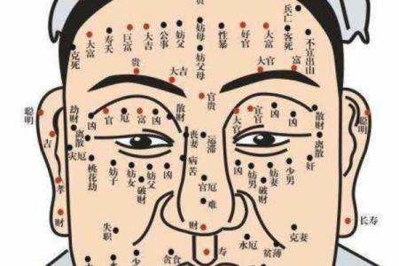 女性面相中鼻子的神秘意义与命运走向