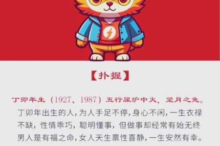 出生的生肖是什么？探索其性格与命运