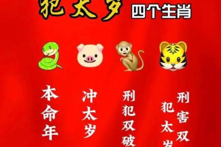 深度解读木猪命：天生的智慧与幸运