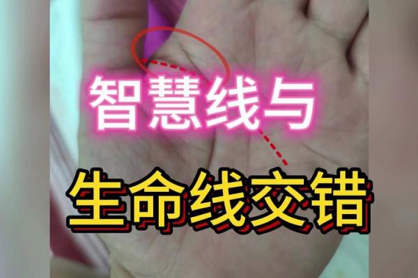 探索手相学的奥秘：解读你的生命线和智慧线