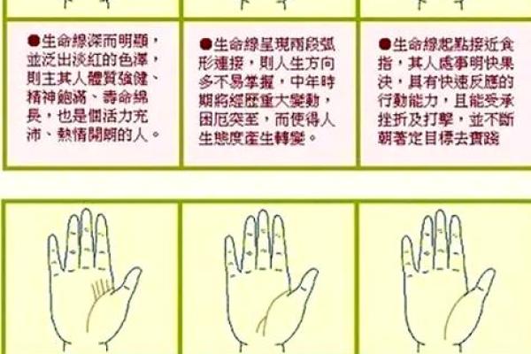 探索手相学的奥秘：解读你的生命线和智慧线