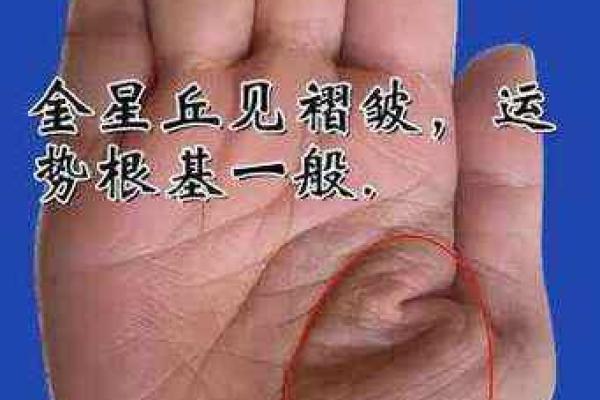 金星丘横纹揭示的性格与命运特征
