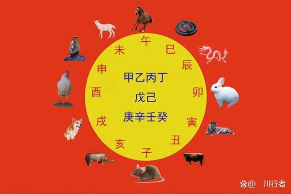 天干地支与生肖的完美对照解析及应用指南