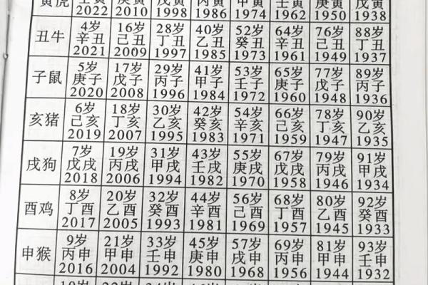 年命与生肖的关系：探讨命运的年轮
