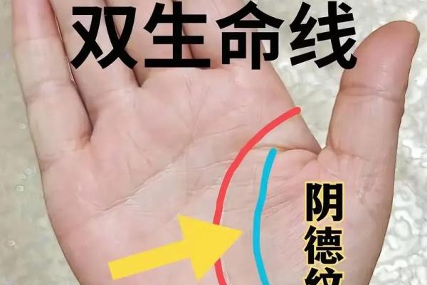 手相看财运：哪些掌纹象征着富贵