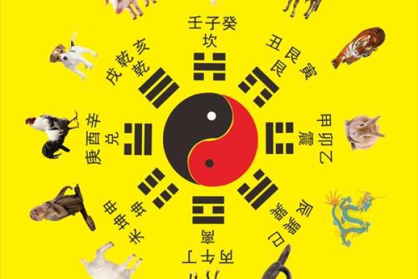天干无合对命运有何影响