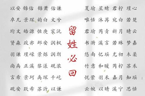 为姓张的男宝宝起名字的最佳选择与技巧