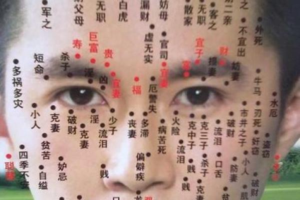 痣相的神秘与科学：痣的分布能揭示什么信息？