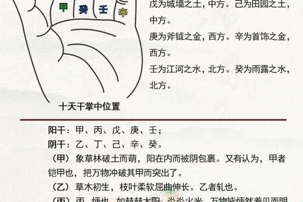 天干地支与中国传统文化的深厚联系解读
