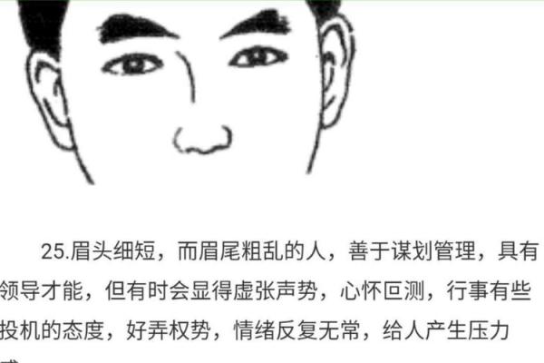 眉毛淡薄如何影响面相与个人运势分析