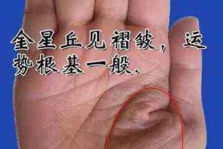 金星丘横纹揭示的性格与命运特征