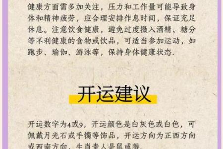 今日生肖运势指南，助你规划美好一天