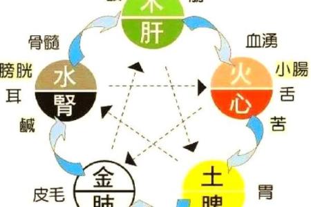 天干五行对身体健康的影响探讨