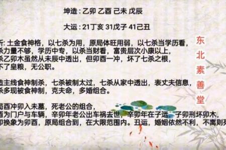 盲派命理初级入门指南：从基础到实践的全方位解析