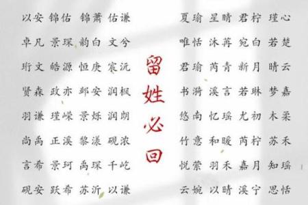 为姓张的男宝宝起名字的最佳选择与技巧