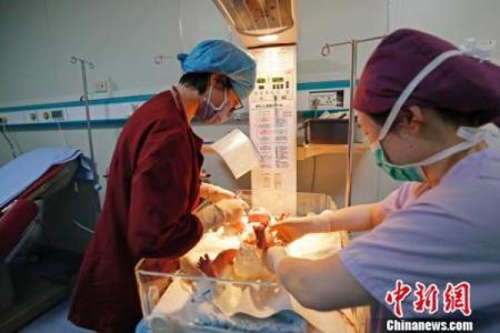 凌晨降生的鸡宝宝名字推荐