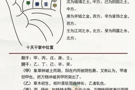 天干地支与中国传统文化的深厚联系解读