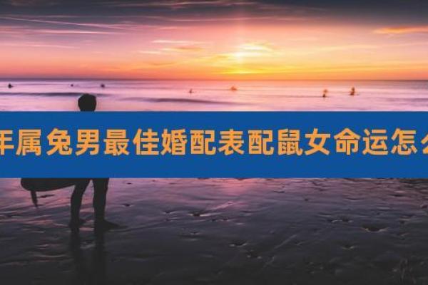 牛兔配对的命运走向：婚姻与事业中的相互作用