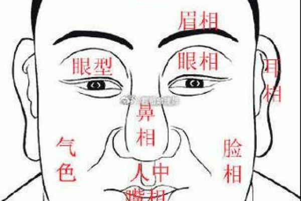 刻薄面相的几大典型特征