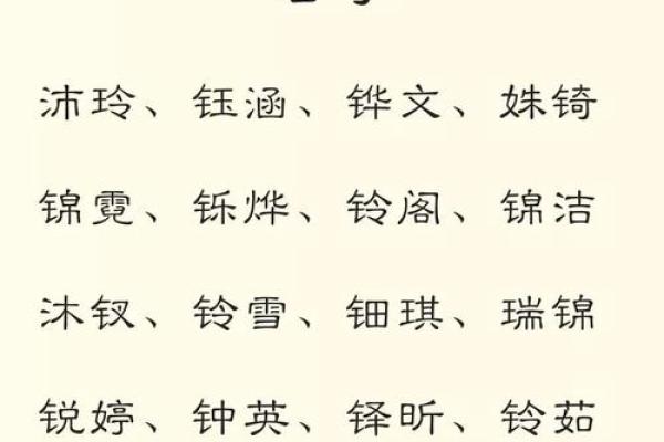 仝姓鸡宝宝男孩起名指南：精选寓意深远的名字推荐