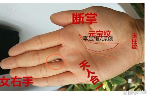 左手断掌手相的神秘含义与运势预测