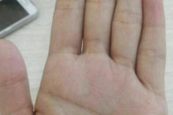 左手断掌手相的神秘含义与运势预测