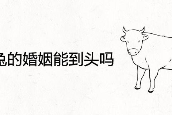 男兔与女牛的婚姻关系：优缺点全面分析