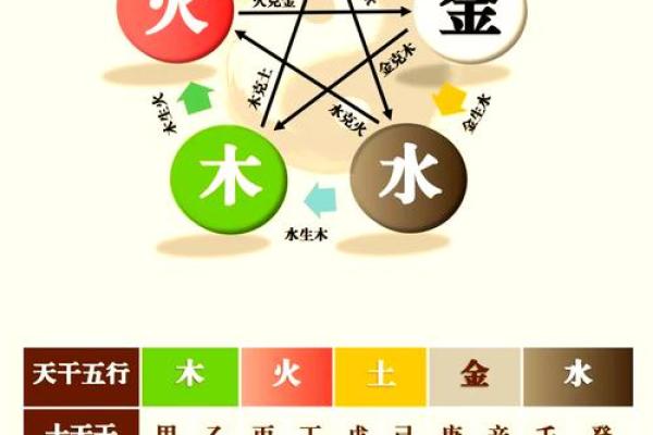 五行属什么 解析与运势分析