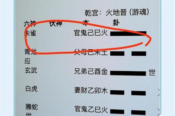 己五行属什么？揭开土性命理的奥秘