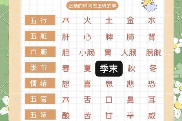 五行与五脏的深度关联解析：如何理解体内能量的平衡