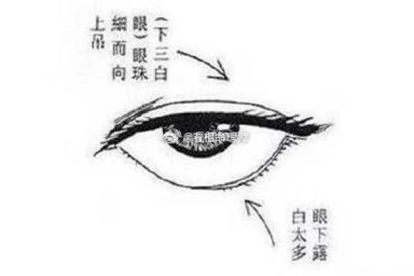 三白眼面相解析：揭示性格与命运的深层联系