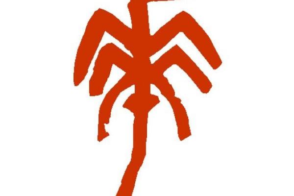 华五行属于什么类别的解析与探讨