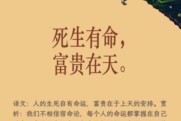命理华山揭秘：探寻命运与风水的奥秘