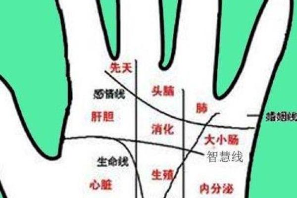 手相绝学指南：识别掌纹背后的深层含义