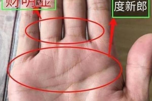 女鸡男猪婚姻是否能长久？看性格与命理的双重影响