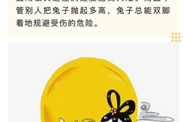 兔与最佳生肖配对，和谐美满的秘密