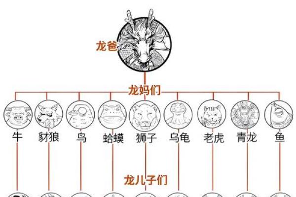 属龙五行属性解析及其对命运的影响