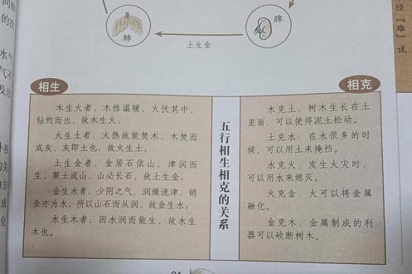 大五行理论与现代生活的深度融合探讨