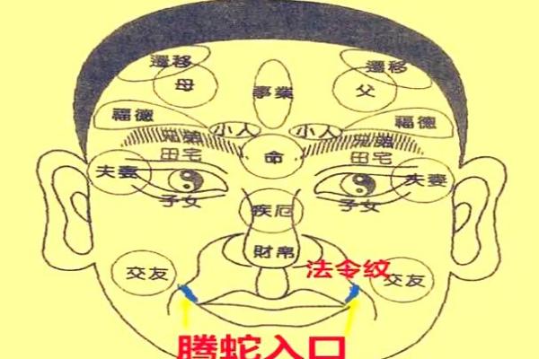 面相学基础：如何判断面部细节与个人运势的关系