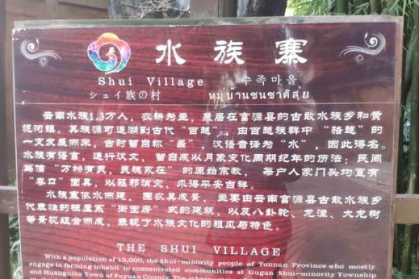 探索水族节日背后的独特文化与传统