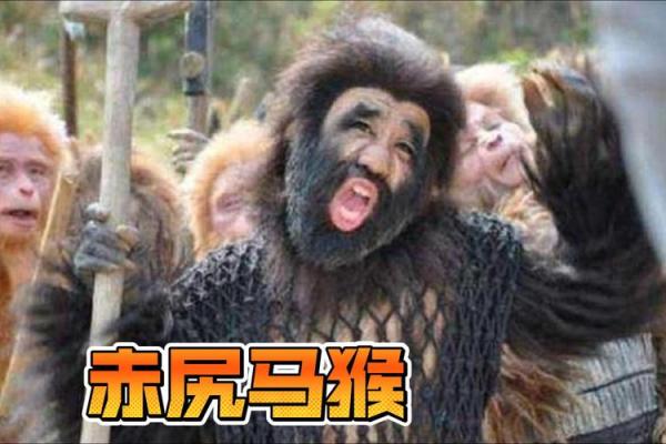 猴年马月谜语揭示的生肖真相